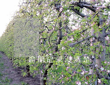 逾期记录没清楚 逾期记录没清楚