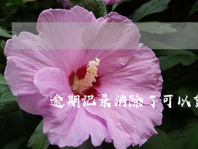 逾期记录消除了可以贷款吗 逾期记录消除了可以贷款吗