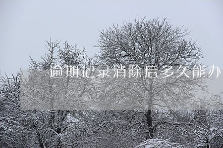 逾期记录消除后多久能办贷款