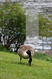 逾期记录消除后贷款