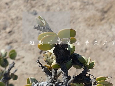 逾期记录消除多久才能恢复 逾期记录消除多久才能恢复