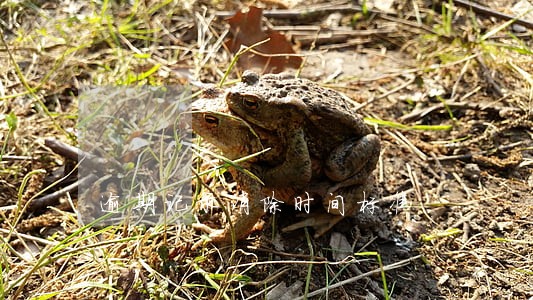 逾期记录消除时间标准 逾期记录消除时间标准