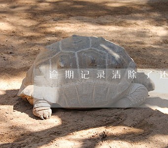 逾期记录清除了还能查到吗 逾期记录清除了还能查到吗