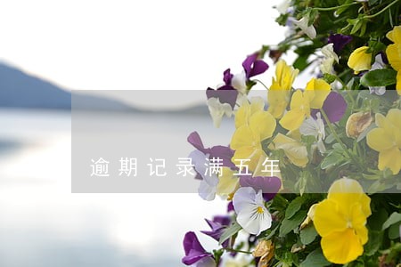 逾期记录满五年 逾期记录满五年