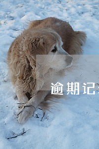 逾期记录申明涵 逾期记录申明涵
