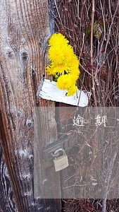 逾期记录申诉是什么 逾期记录申诉是什么