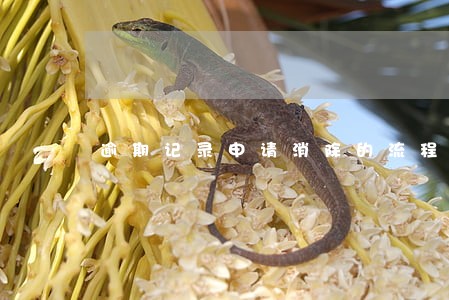 逾期记录申请消除的流程