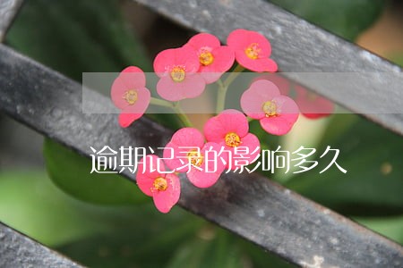 逾期记录的影响多久 逾期记录的影响多久