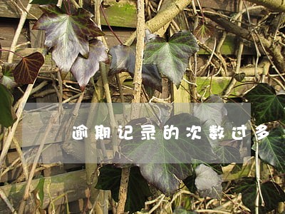 逾期记录的次数过多 逾期记录的次数过多