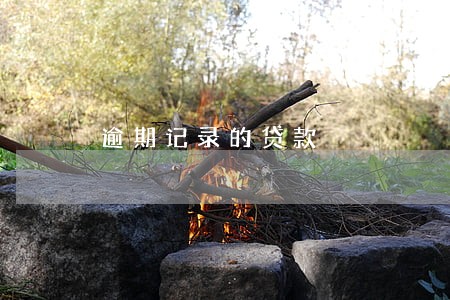 逾期记录的贷款 逾期记录的贷款