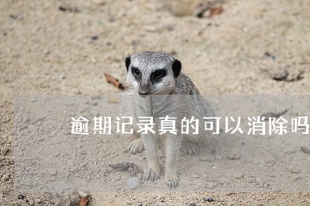 逾期记录真的可以消除吗