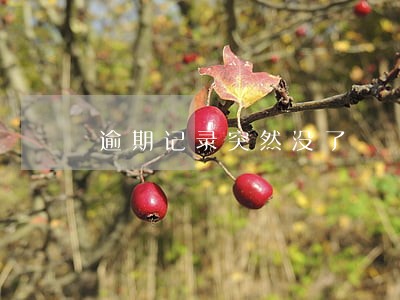 逾期记录突然没了 逾期记录突然没了