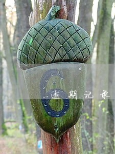 逾期记录等于不良记录吗