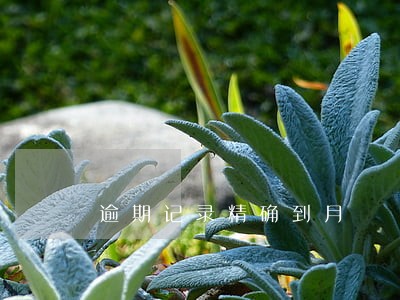 逾期记录精确到月