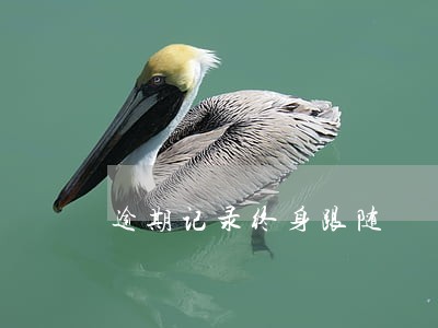 逾期记录终身跟随