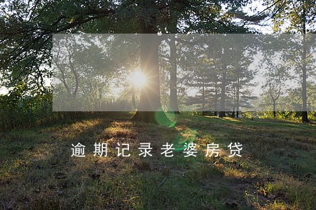 逾期记录老婆房贷 逾期记录老婆房贷