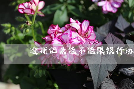逾期记录能不能跟银行协商修改 逾期记录能不能跟银行协商修改