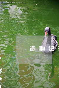 逾期记录能交公积金么 逾期记录能交公积金么