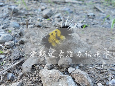逾期记录能办信用卡 逾期记录能办信用卡