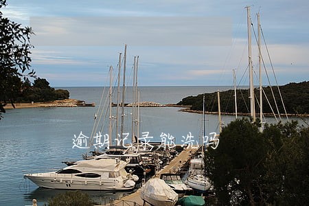 逾期记录能洗吗