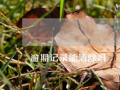 逾期记录能清除吗