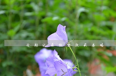 逾期记录能贷款买房吗 逾期记录能贷款买房吗