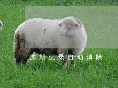 逾期记录自动消除 逾期记录自动消除