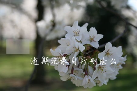逾期记录自行删除么 逾期记录自行删除么