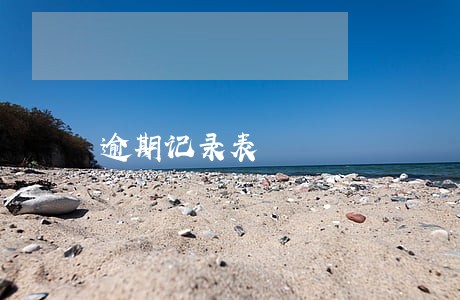 逾期记录表 逾期记录表