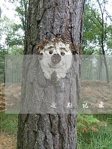 逾期记录被消除 逾期记录被消除
