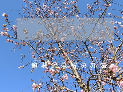 逾期记录解决办法 逾期记录解决办法