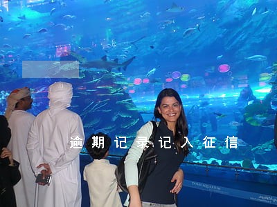 逾期记录记入征信 逾期记录记入征信