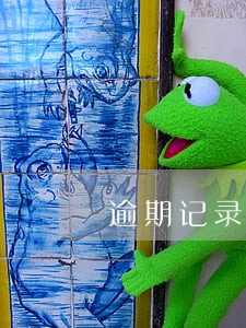 逾期记录说什么 逾期记录说什么