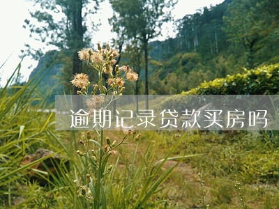 逾期记录贷款买房吗 逾期记录贷款买房吗