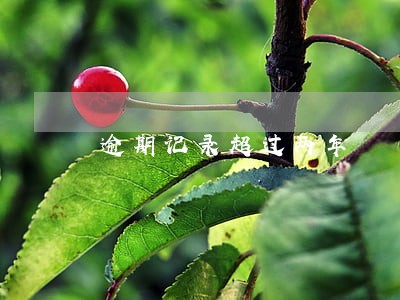 逾期记录超过两年 逾期记录超过两年