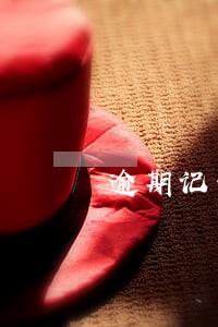 逾期记录达到什么条件影响征信