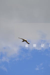 逾期记录过了8年还在 逾期记录过了8年还在