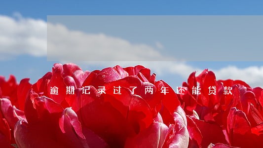 逾期记录过了两年还能贷款