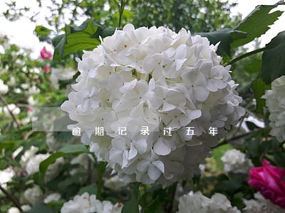 逾期记录过五年 逾期记录过五年