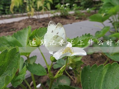 逾期记录还上什么时候能消除记录 逾期记录还上什么时候能消除记录