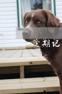 逾期记录还款后会消除吗 逾期记录还款后会消除吗