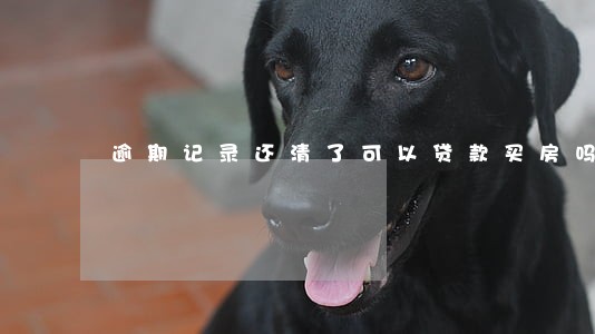 逾期记录还清了可以贷款买房吗 逾期记录还清了可以贷款买房吗