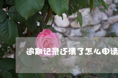 逾期记录还清了怎么申请清除 逾期记录还清了怎么申请清除