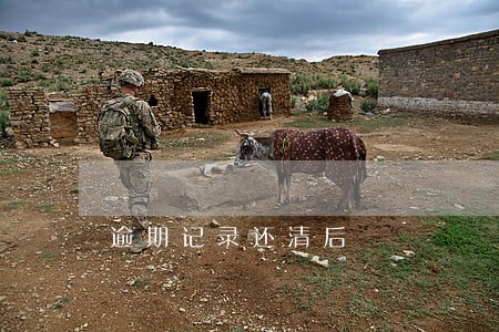 逾期记录还清后 逾期记录还清后