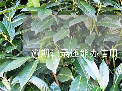 逾期记录还能办信用卡吗 逾期记录还能办信用卡吗