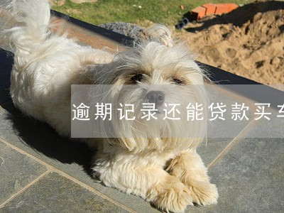 逾期记录还能贷款买车吗 逾期记录还能贷款买车吗