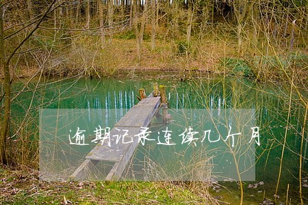 逾期记录连续几个月 逾期记录连续几个月