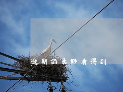 逾期记录那看得到 逾期记录那看得到