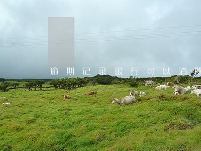 逾期记录银行可以消除吗