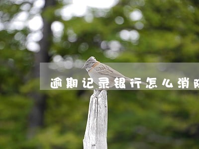 逾期记录银行怎么消除 逾期记录银行怎么消除